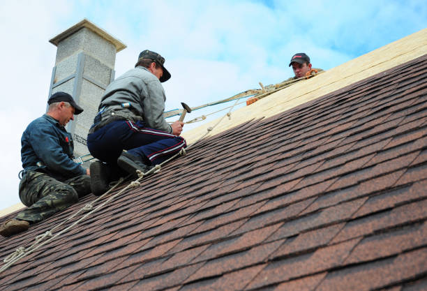 Best Metal Roofing Contractor  in Olympia Fields, IL