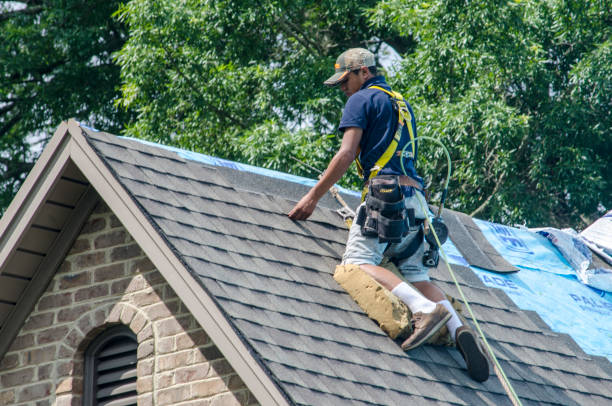 Best Storm Damage Roof Repair  in Olympia Fields, IL