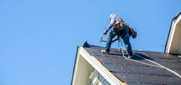 Best Roof Maintenance Services  in Olympia Fields, IL